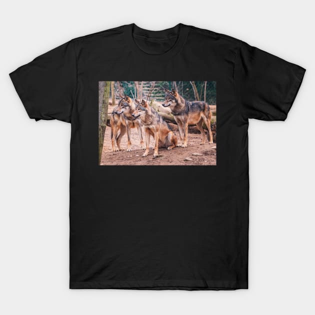 Wolves T-Shirt by Photomisak72